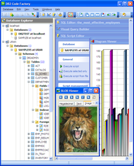 DB2 Code Factory screenshot